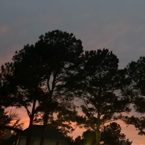 Meet your Posher, Karla